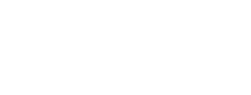 malves logo principal transparente.webp